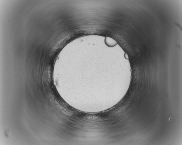 X0000098140590200805151142