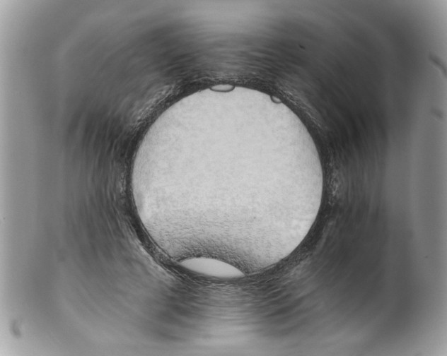 X0000098140593200805151142