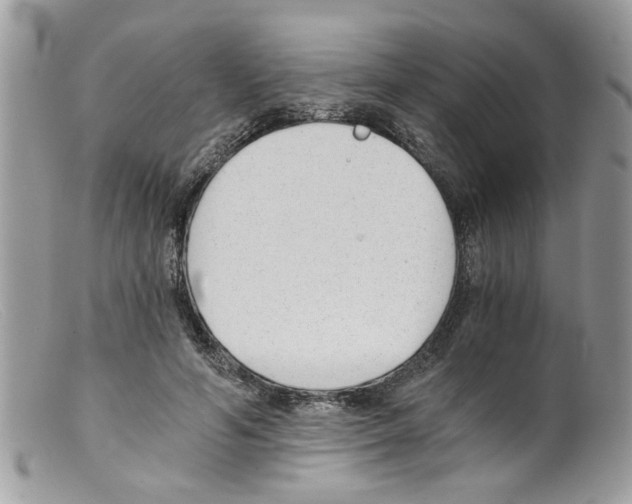 X0000098140594200805151142