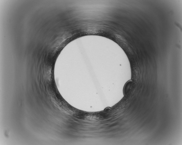 X0000098140596200805151142