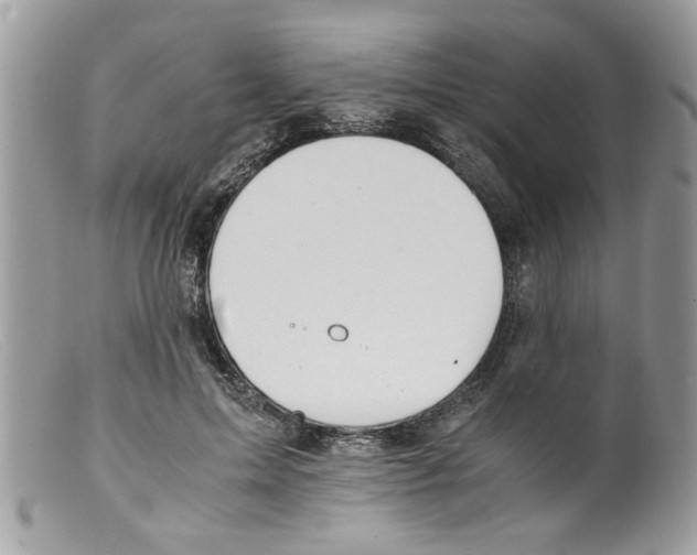 X0000098140599200805151142