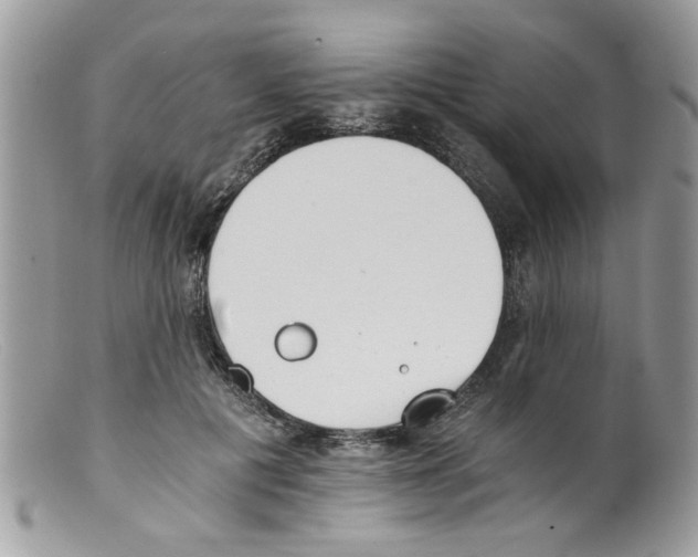 X0000098140601200805151142