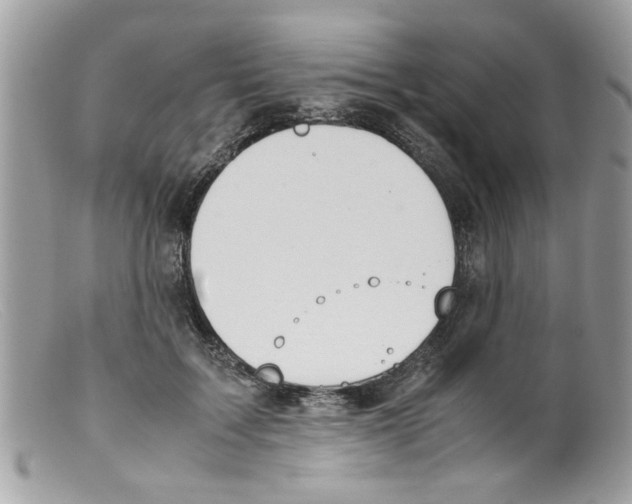 X0000098140603200805151142