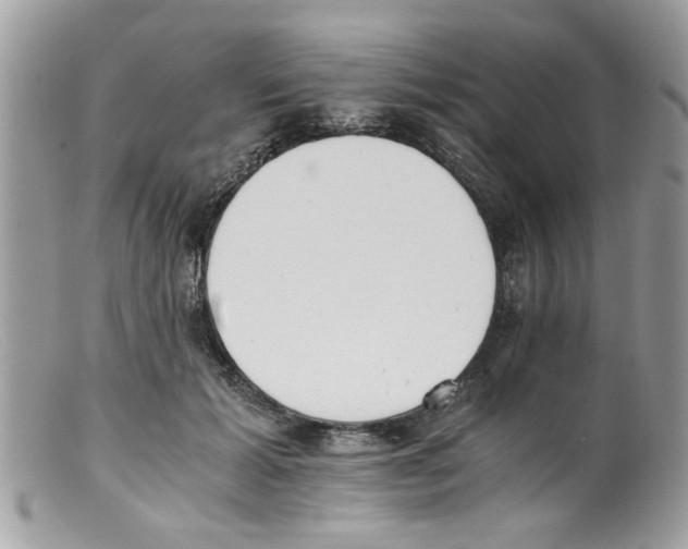 X0000098140605200805151142