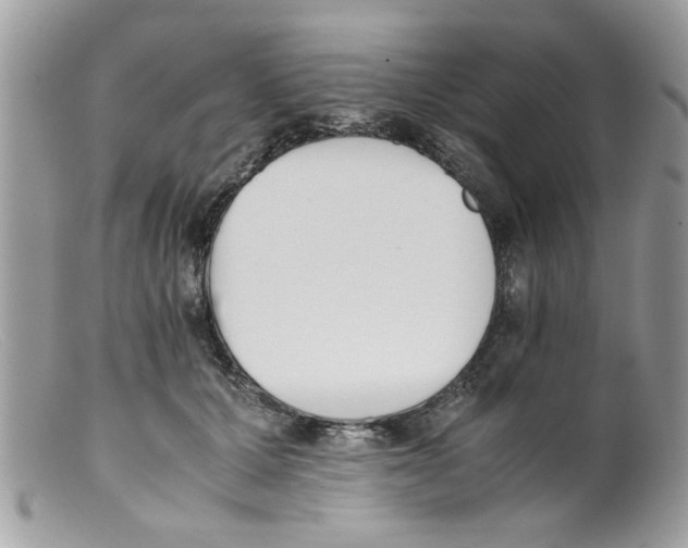 X0000098140607200805151142