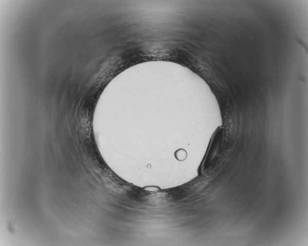 X0000098140609200805151142