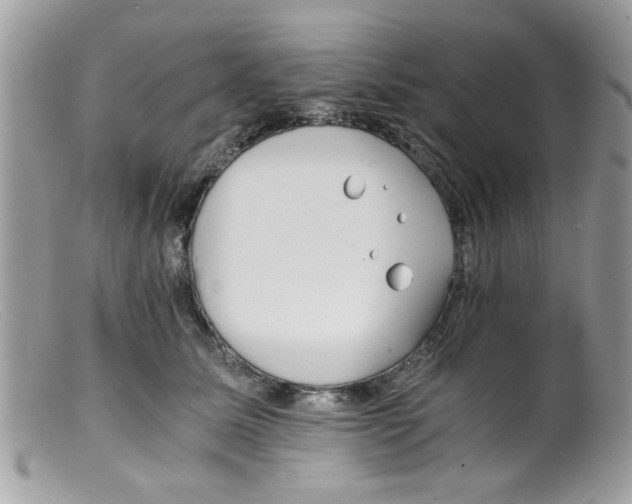 X0000098140611200805151142