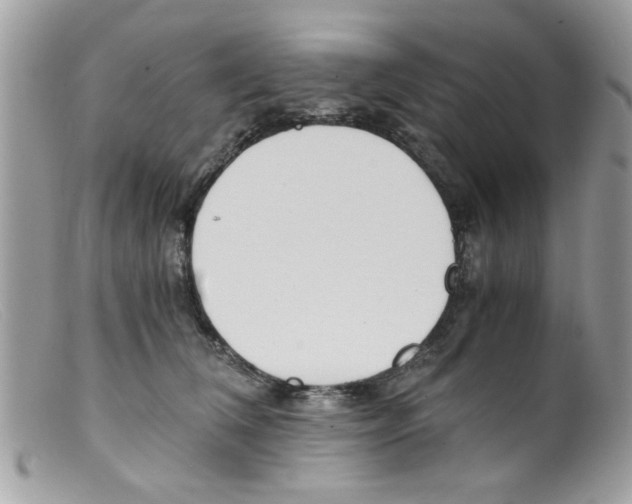 X0000098140612200805151142