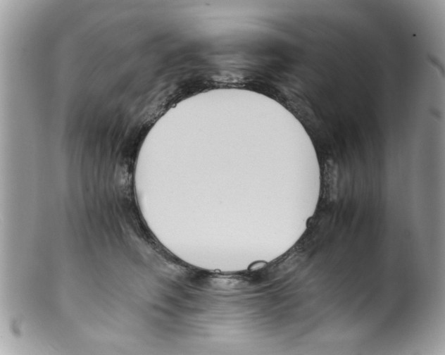 X0000098140614200805151142