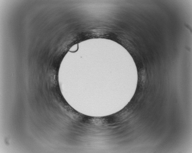 X0000098140615200805151142