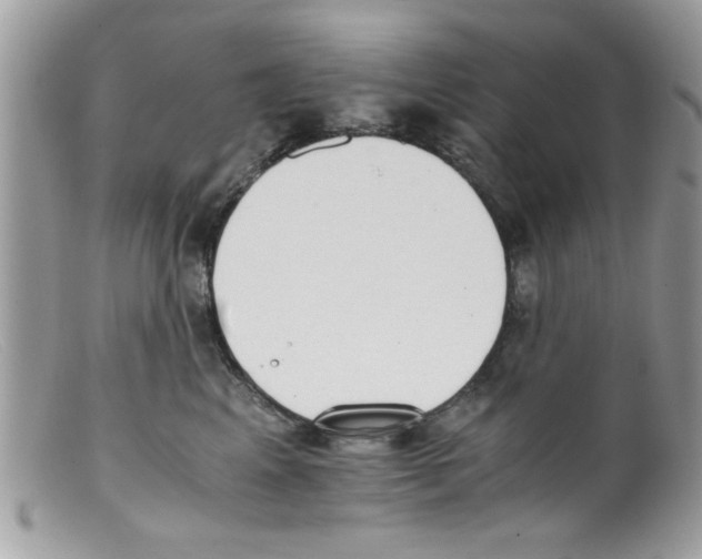 X0000098140617200805151142