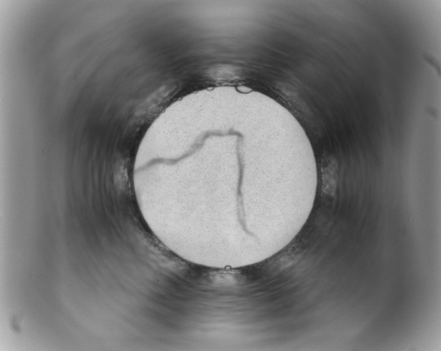 X0000098140618200805151142