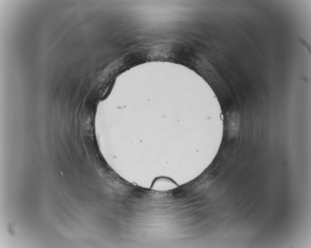 X0000098140619200805151142