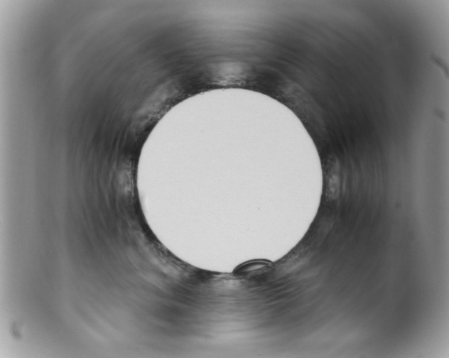 X0000098140620200805151142