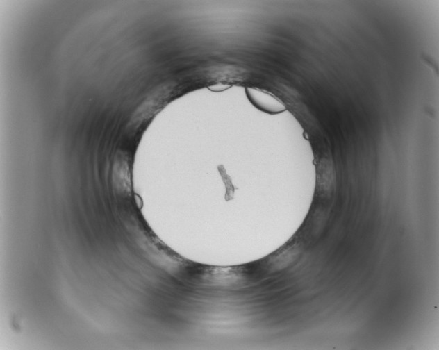 X0000098140622200805151142