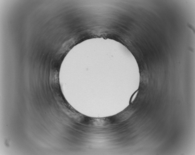 X0000098140623200805151142