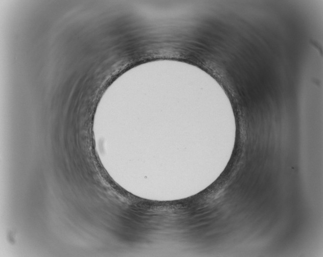 X0000098140625200805151141