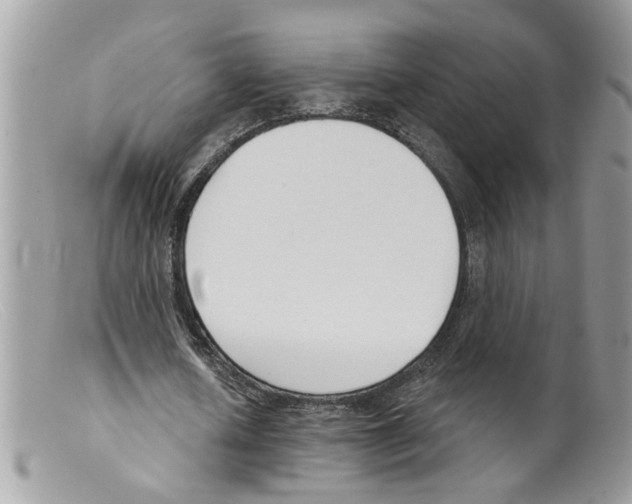 X0000098140626200805151141