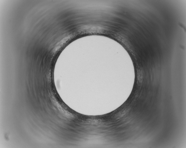 X0000098140629200805151141