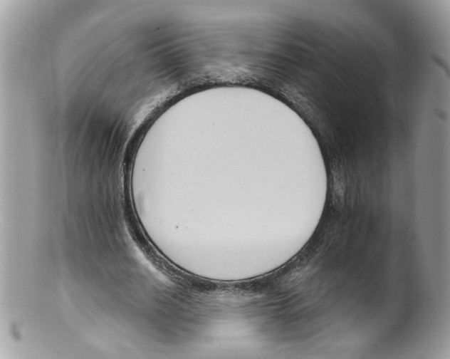 X0000098140630200805151141