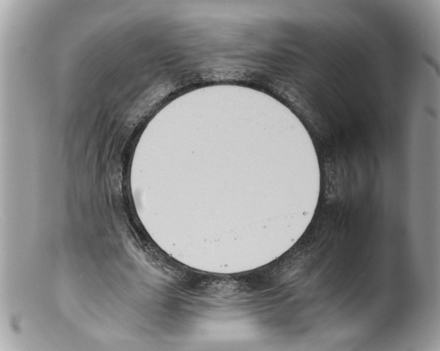 X0000098140631200805151141