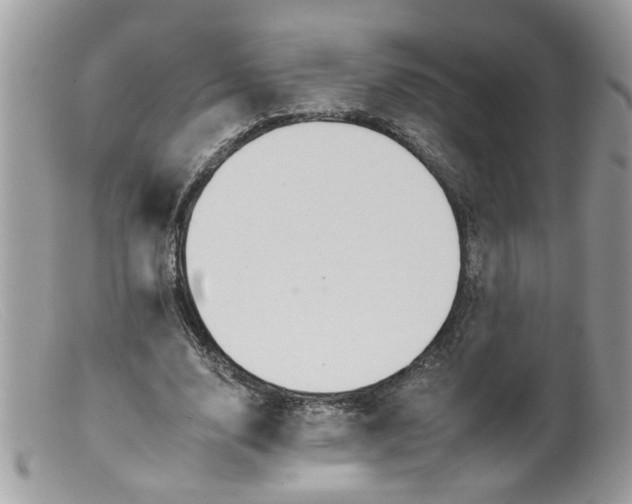 X0000098140632200805151141