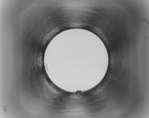 X0000098140633200805151141