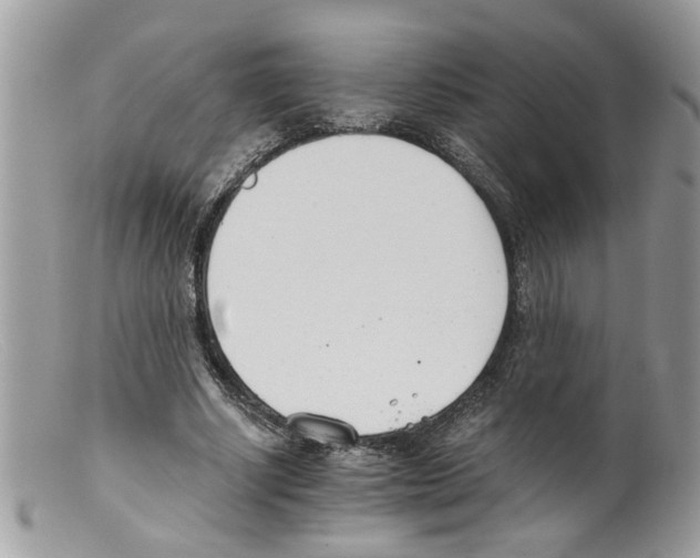 X0000098140634200805151141