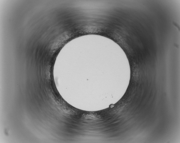 X0000098140635200805151141