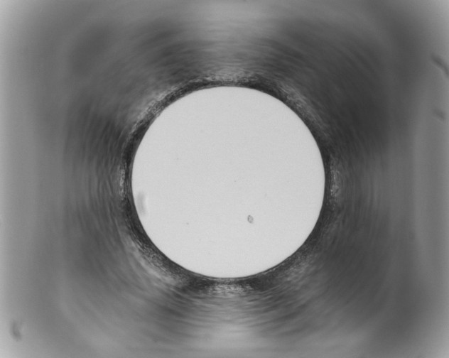 X0000098140636200805151141