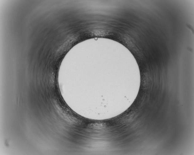 X0000098140639200805151141