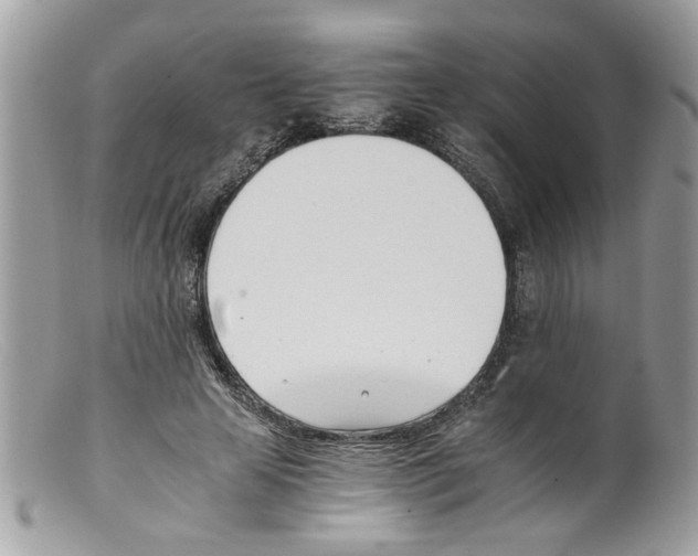 X0000098140641200805151141