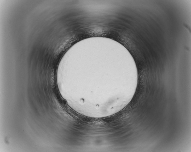 X0000098140642200805151141