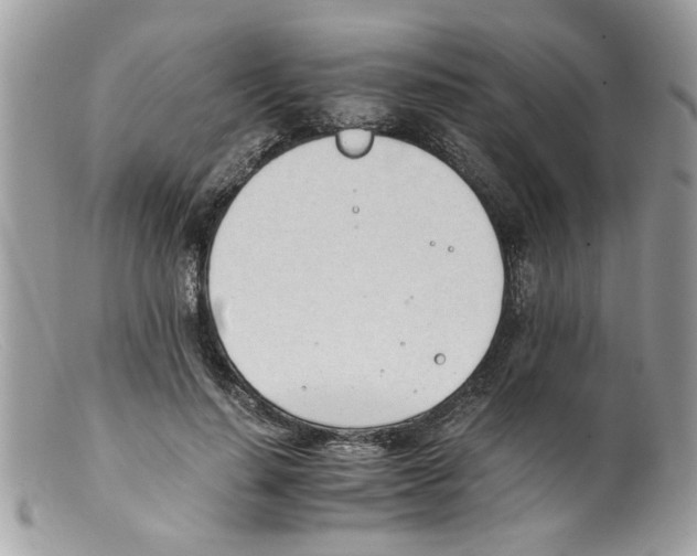 X0000098140644200805151141