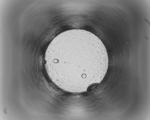 X0000098140646200805151141