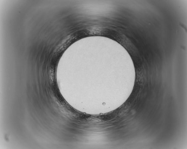 X0000098140648200805151141