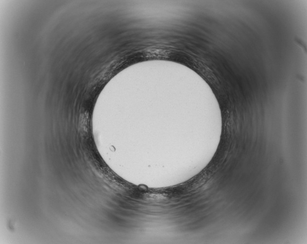 X0000098140649200805151141