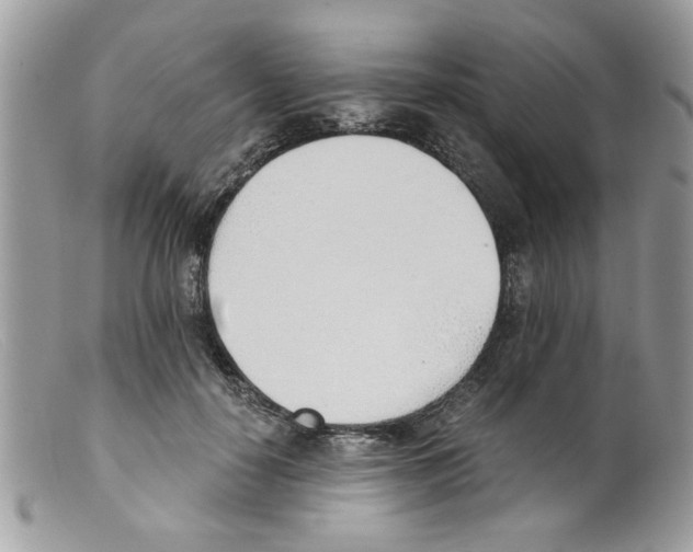 X0000098140650200805151141