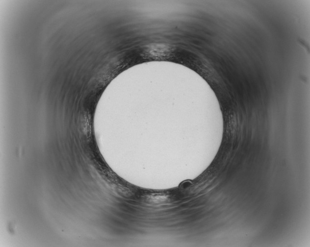 X0000098140651200805151141