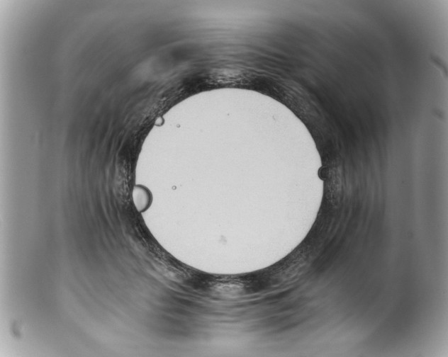 X0000098140653200805151142