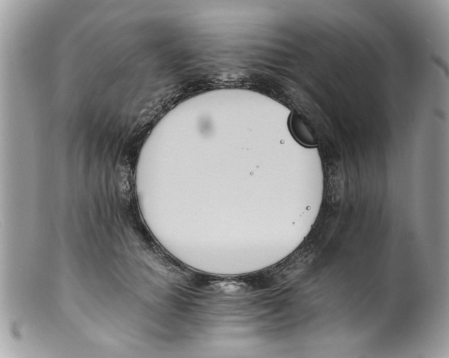 X0000098140654200805151142