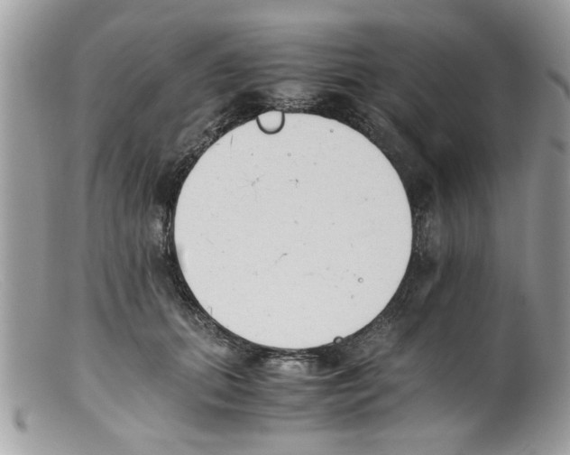 X0000098140655200805151142