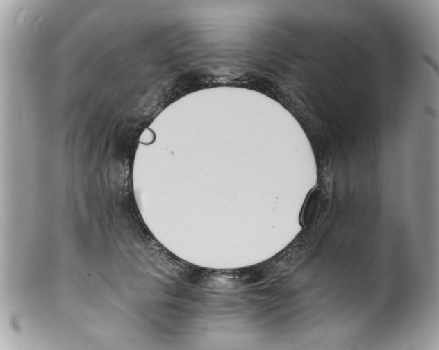 X0000098140657200805151142