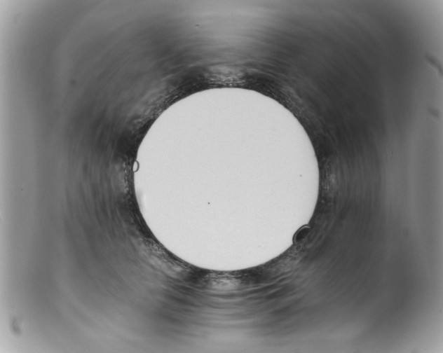 X0000098140658200805151142