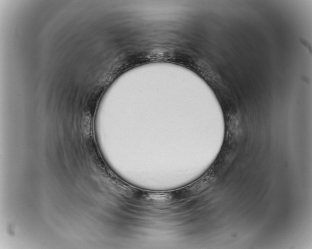 X0000098140659200805151142