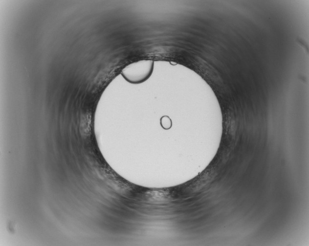 X0000098140660200805151142