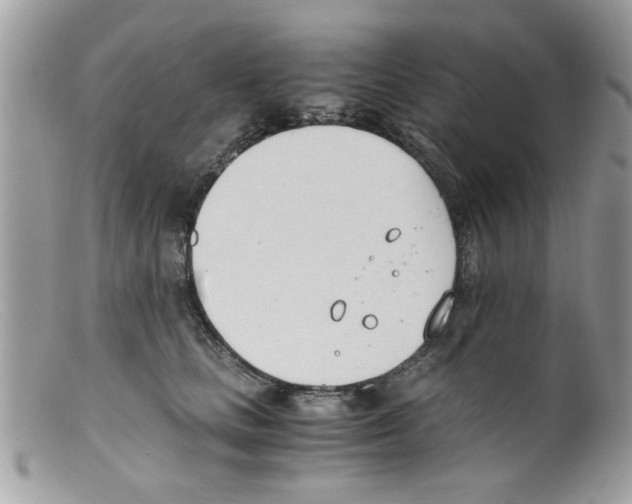 X0000098140661200805151142