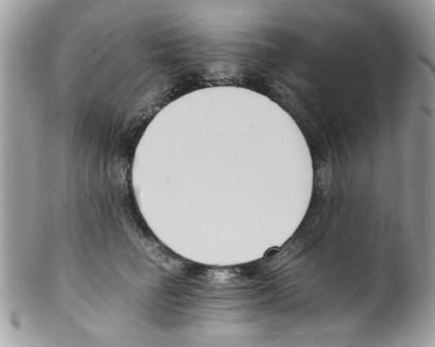 X0000098140662200805151142