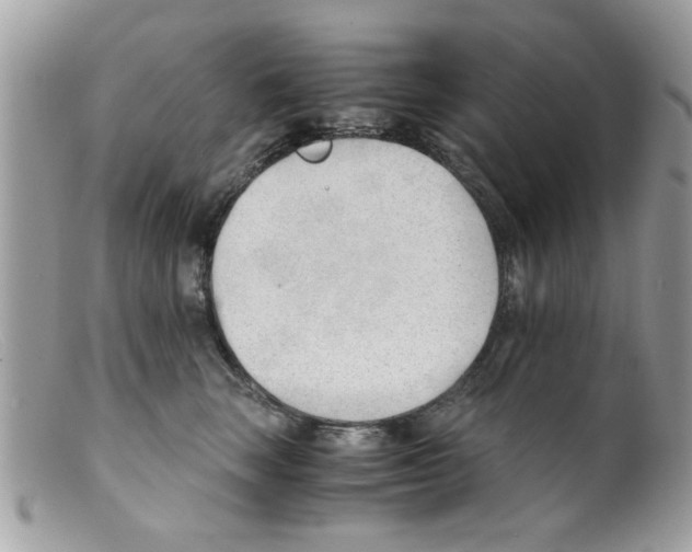 X0000098140663200805151142