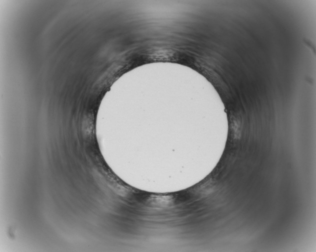 X0000098140665200805151142